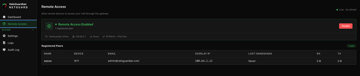 VeloGuardian NetGuard remote access page showing registered peers and connection status